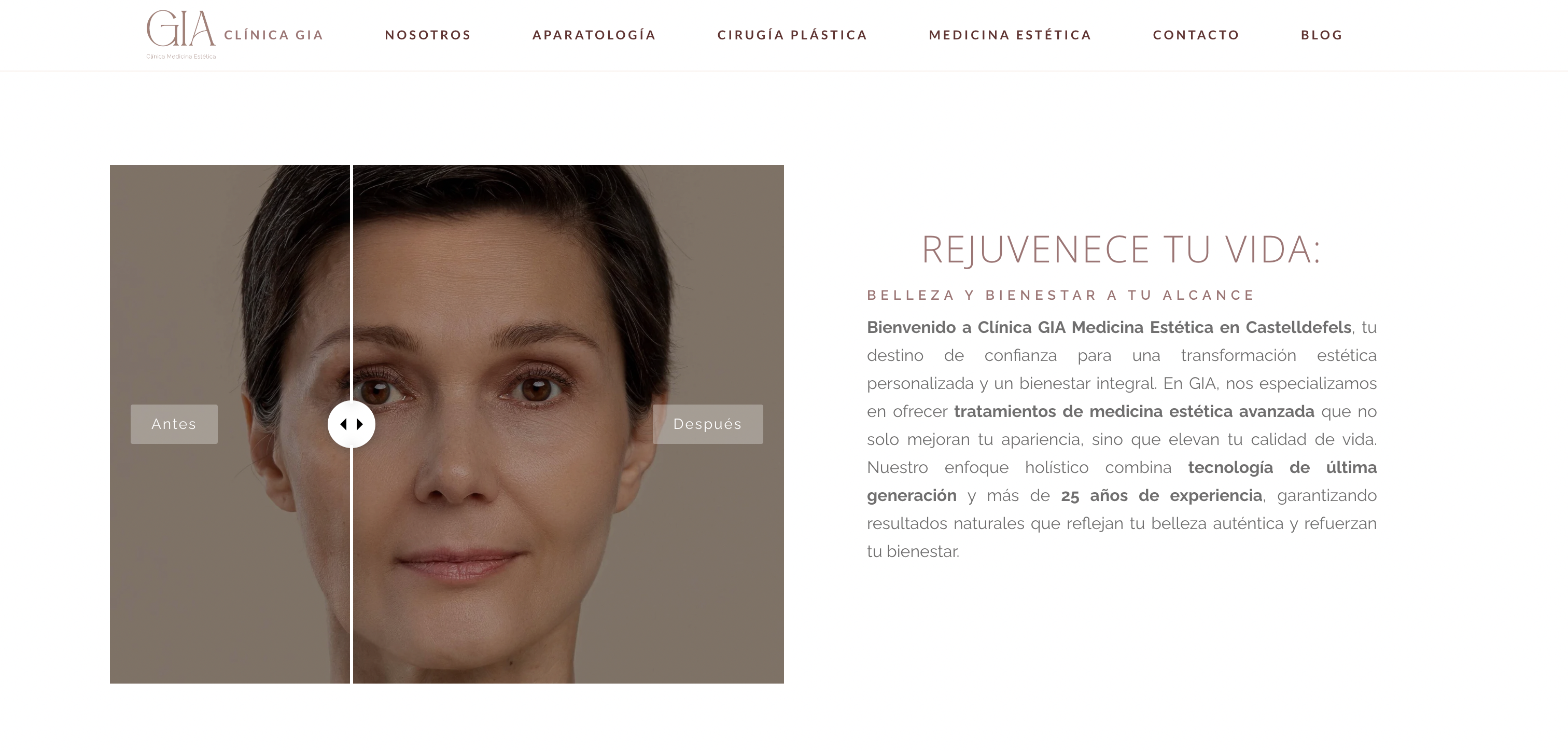 Captura de Pantalla 2024-11-21 a las 22.47.55